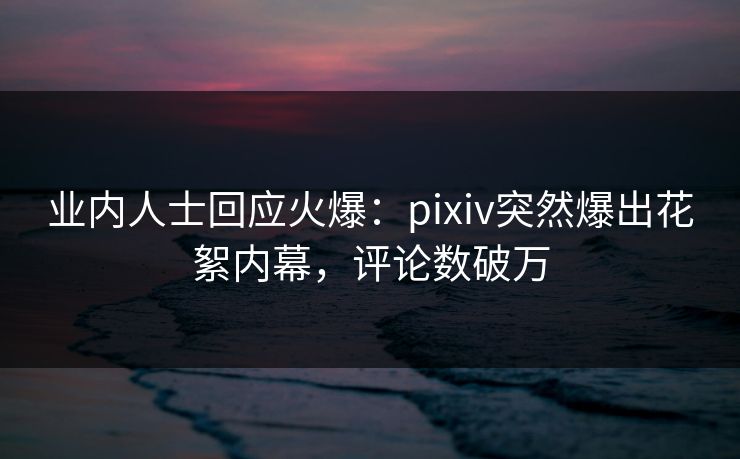 业内人士回应火爆：pixiv突然爆出花絮内幕，评论数破万