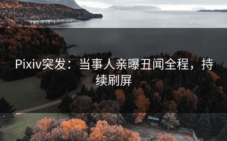 Pixiv突发：当事人亲曝丑闻全程，持续刷屏