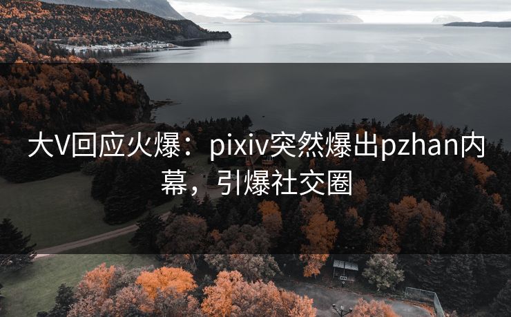 大V回应火爆：pixiv突然爆出pzhan内幕，引爆社交圈