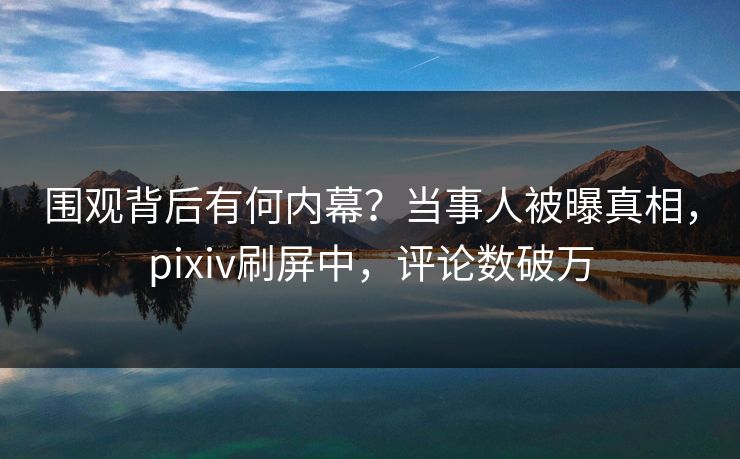 围观背后有何内幕？当事人被曝真相，pixiv刷屏中，评论数破万