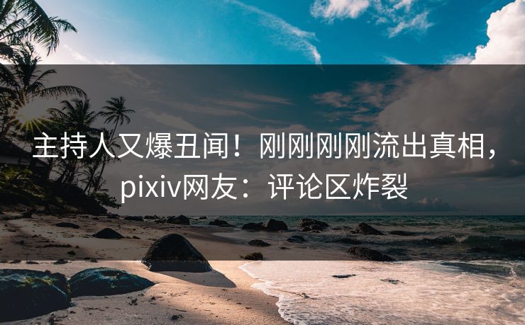 主持人又爆丑闻！刚刚刚刚流出真相，pixiv网友：评论区炸裂