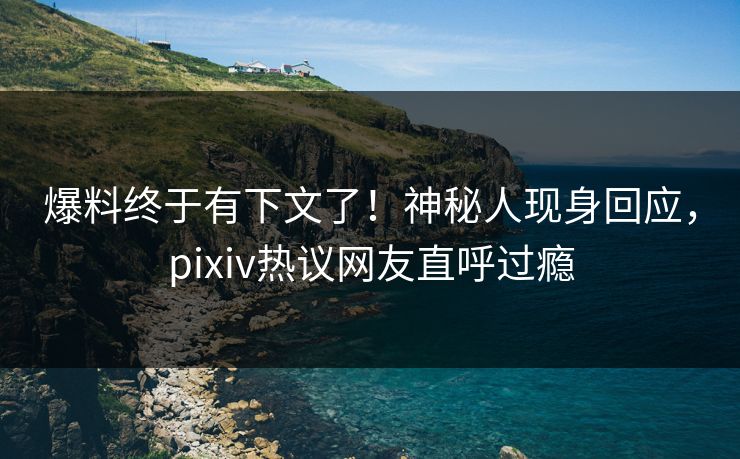 爆料终于有下文了！神秘人现身回应，pixiv热议网友直呼过瘾