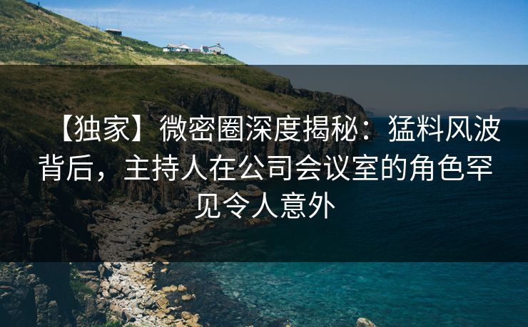 【独家】微密圈深度揭秘：猛料风波背后，主持人在公司会议室的角色罕见令人意外