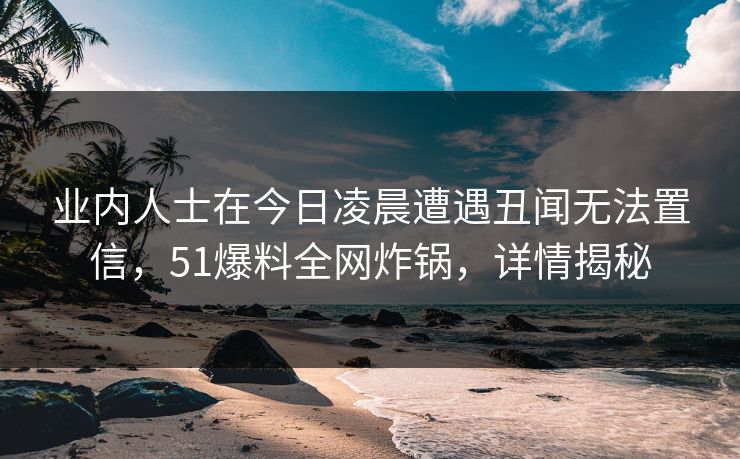 业内人士在今日凌晨遭遇丑闻无法置信，51爆料全网炸锅，详情揭秘