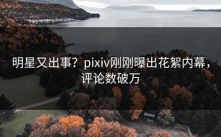 明星又出事？pixiv刚刚曝出花絮内幕，评论数破万