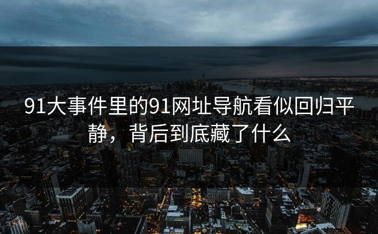 91大事件里的91网址导航看似回归平静，背后到底藏了什么
